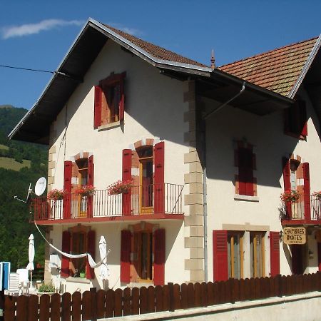 L'Horizon Des Alpes Panzió Le Petit-Bornand-les-Glieres Kültér fotó