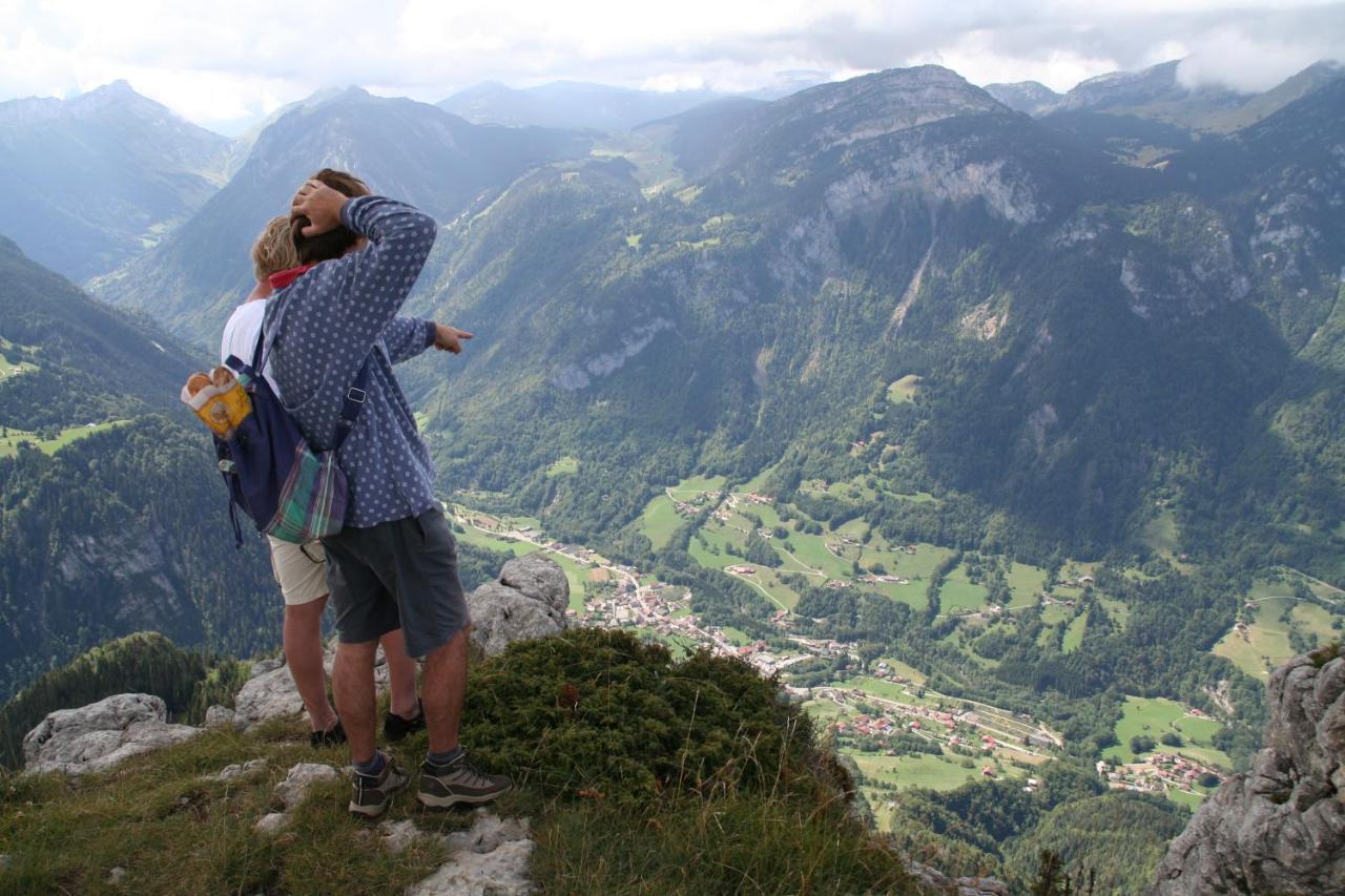 L'Horizon Des Alpes Panzió Le Petit-Bornand-les-Glieres Kültér fotó